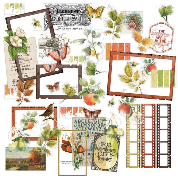 Vintage Orchard Acetate Assortment