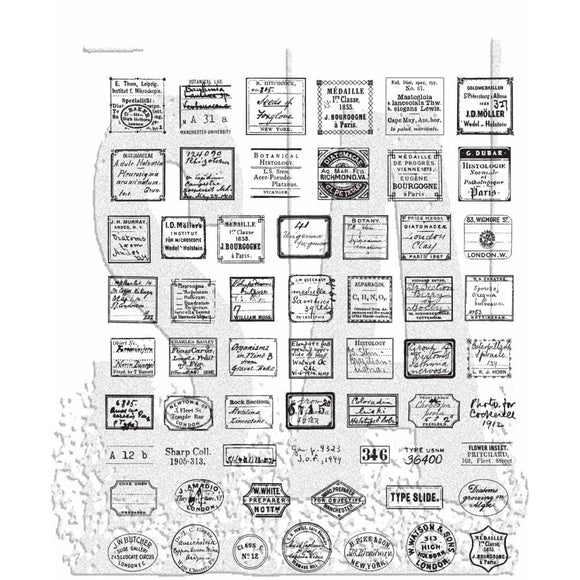 CMS493 Curator