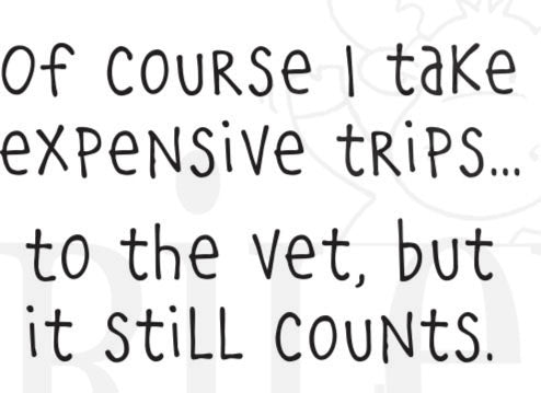 RWD-1356 Trips to the Vet