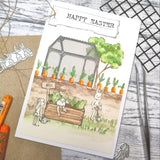 D240210 Carrot Border