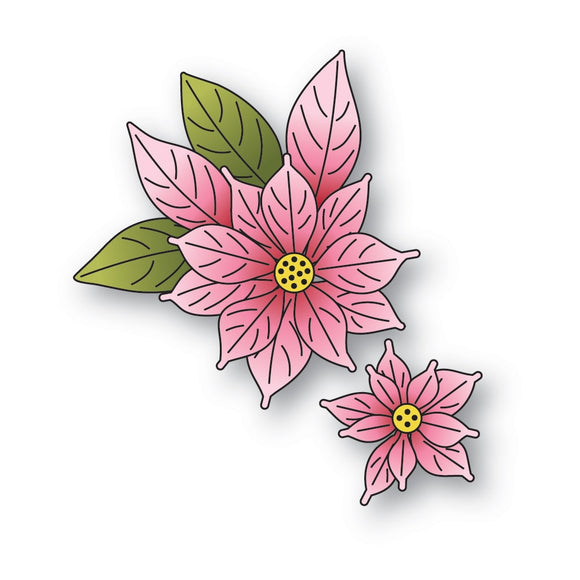 94937 Blooming Poinsettias