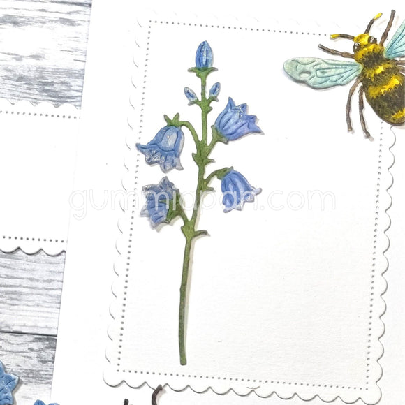D230236 Bellflower