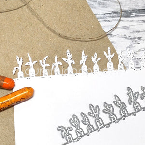 D240210 Carrot Border