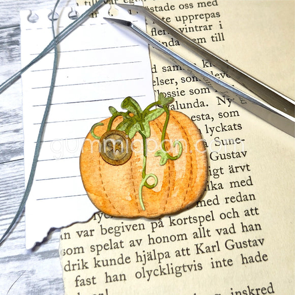D220911 Stitched Pumpkin