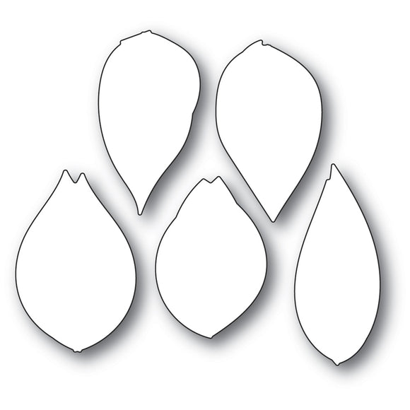 94343 Scribble Leaf Bundle Background