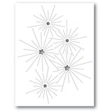 94356 Starry Burst