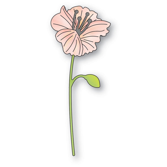94648 Sweet Poppy Stem