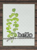 CF271 Eucalyptus Craft Die