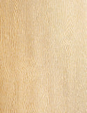 Woodgrain Paper - 80 lb 5 sheets pack