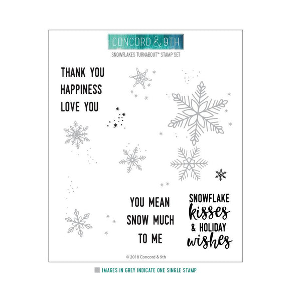 Snowflakes Turnabout Stamp Set
